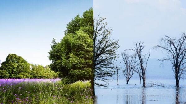 klimatske promjene